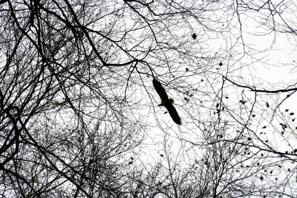 Killikus® Fotographie Killikus® Fotographie